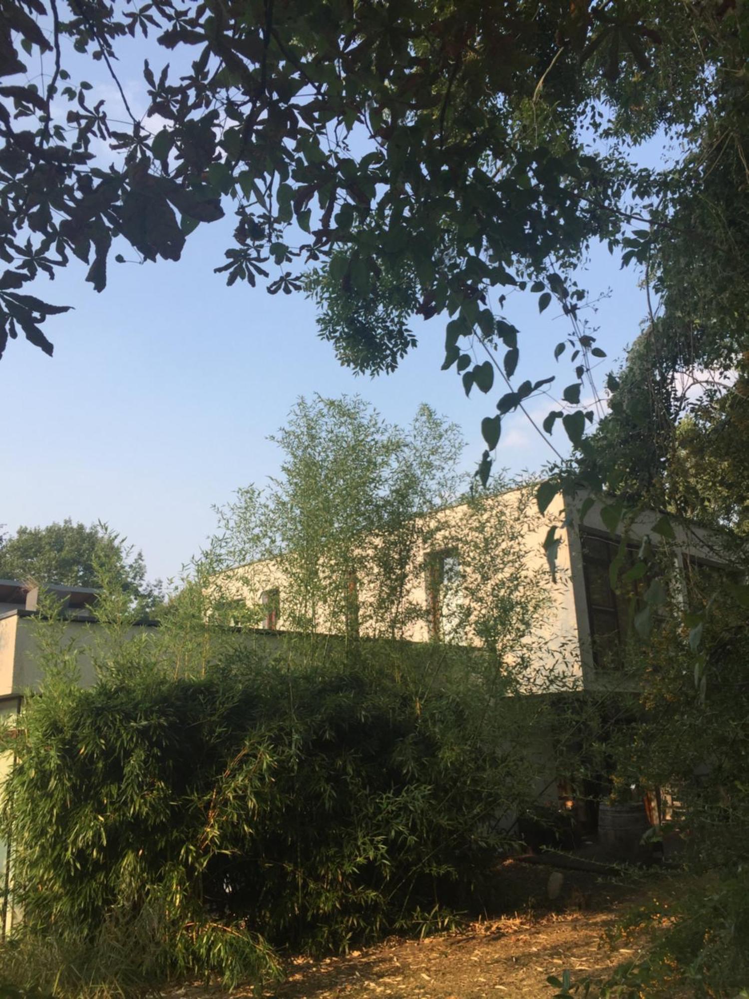 Suite Am Stift ! Wunstorf Εξωτερικό φωτογραφία